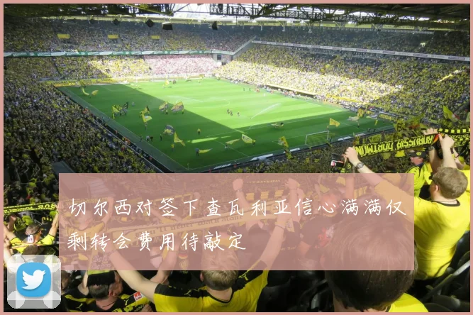 切尔西对签下查瓦利亚信心满满仅剩转会费用待敲定