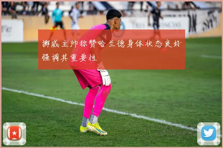 挪威主帅称赞哈兰德身体状态良好强调其重要性